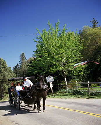 Horse and carriage ride in julian