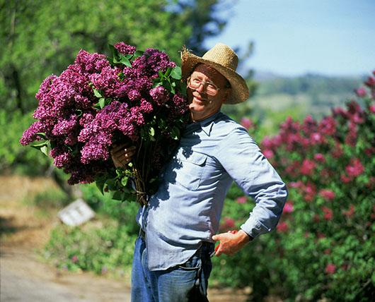 Man holding lilacs photo