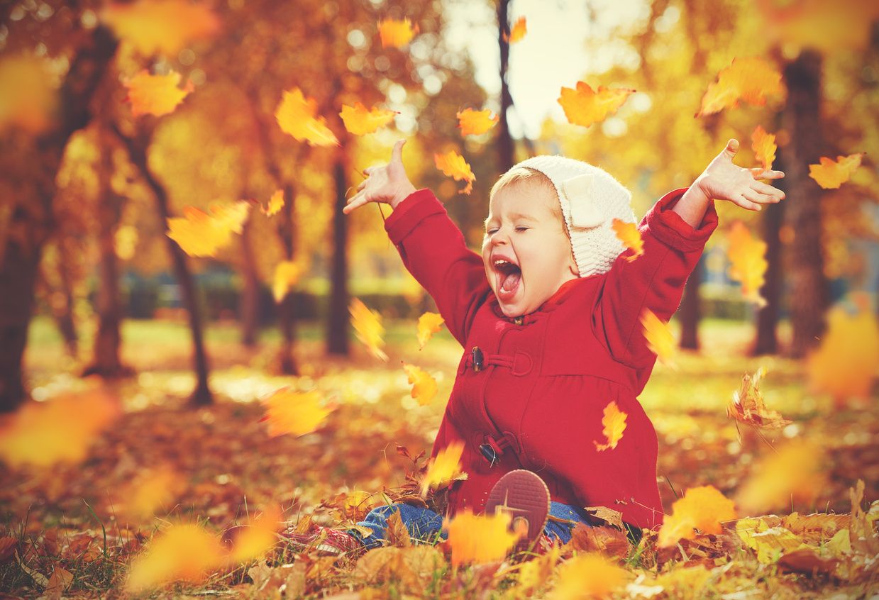 Laughing child in the autumn leaves