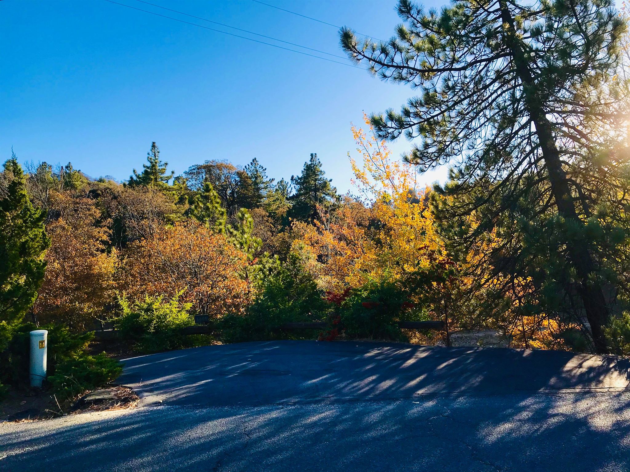 Fall Colors in Julian CA