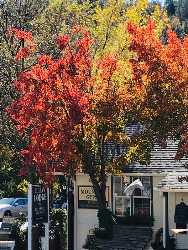 Fall Colors in Julian CA