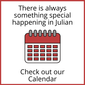 Visit our calendar