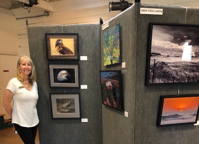 Photos from the Julian Arts Guild show 2021