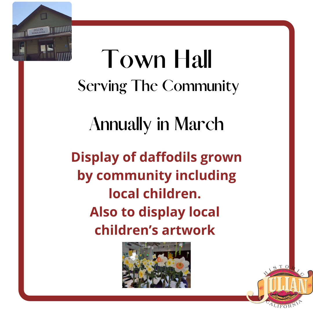 Town Hall poster serving the community events daffodil show