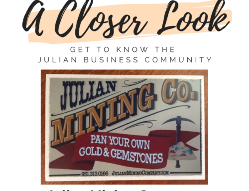 A Closer Look – Julian Mining Company