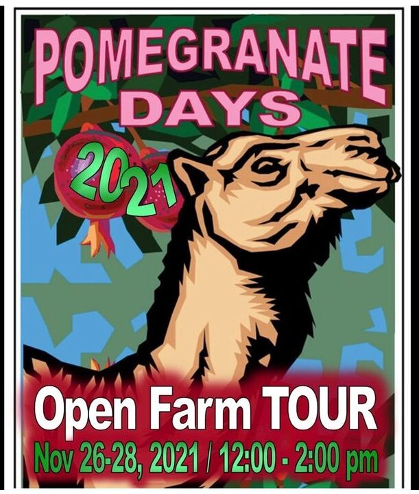 Pomegranate Days 2021 Oasis dairy farm info photo