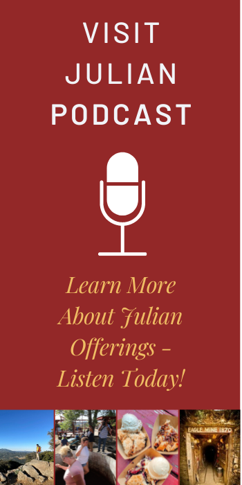 visit Julian Podcast sidebar poster