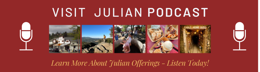 visit julian podcast header