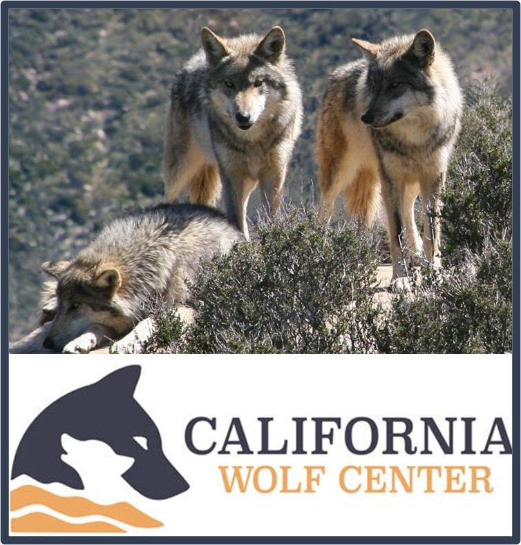 California Wolf Center Photo