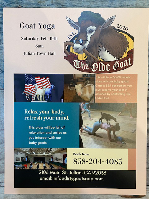 Goat Yoga Poster
