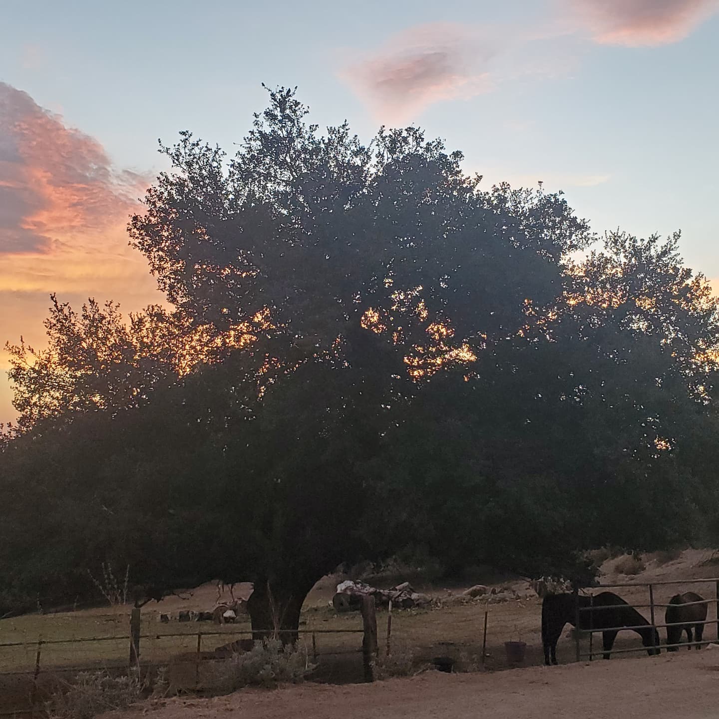 Photo of Diamond B Ranch at sunset