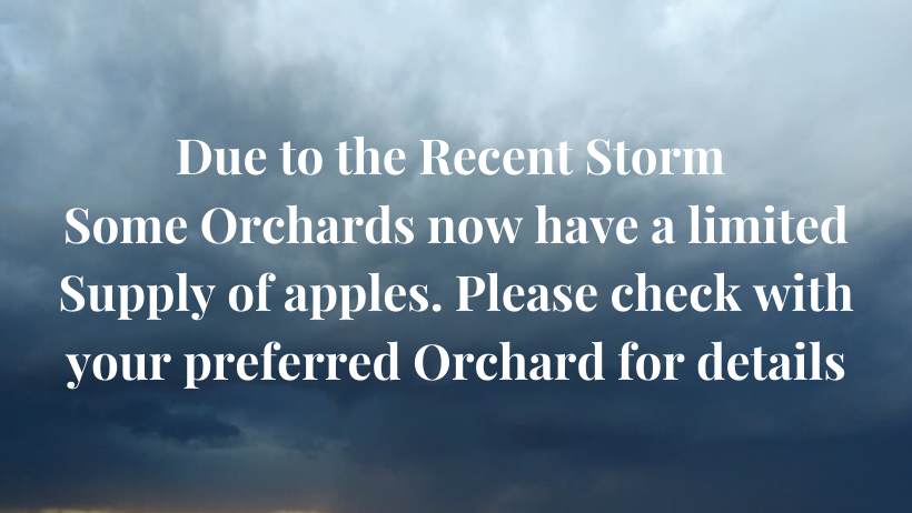 due to recent storm, apples may be limited