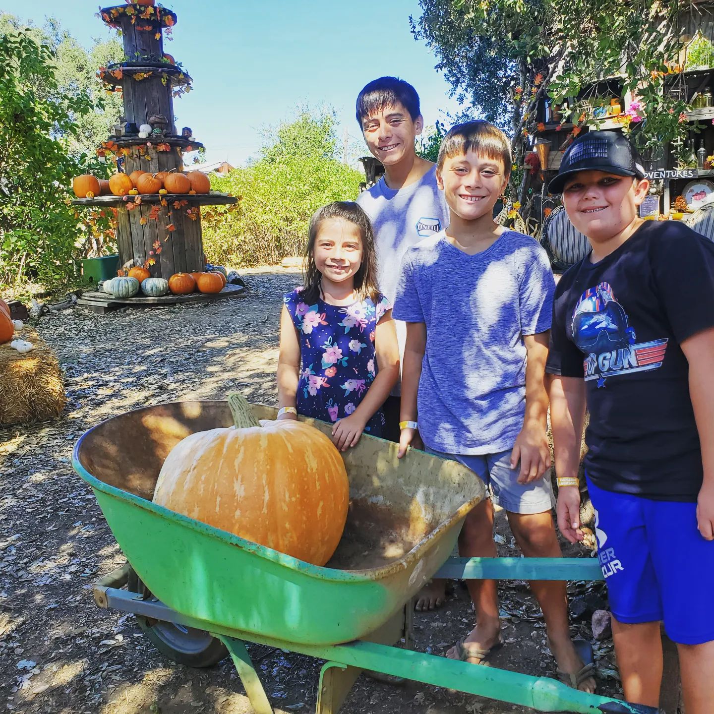 Kids with a pumpkin in a wheel barrel photo