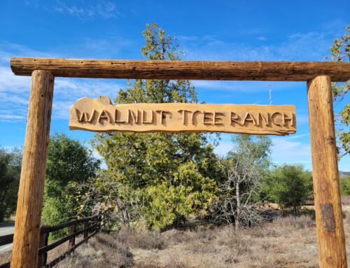Walnut Tree Ranch Vineyard and Winery