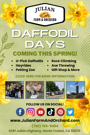 Julian Farm & Orchard Daffodil Days 2023 Poster