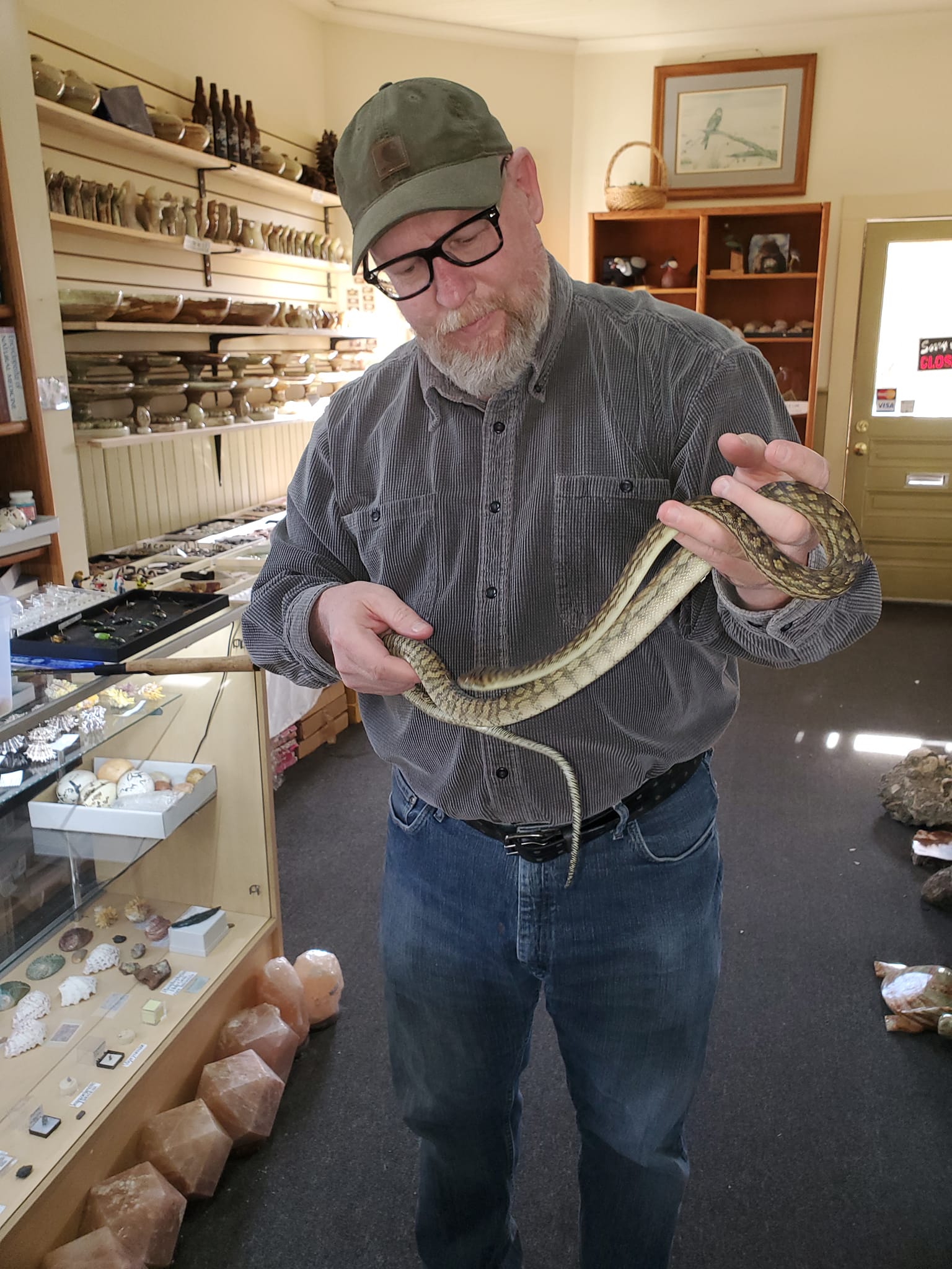 Man holding snake at the Julian Natural History Museum Photo